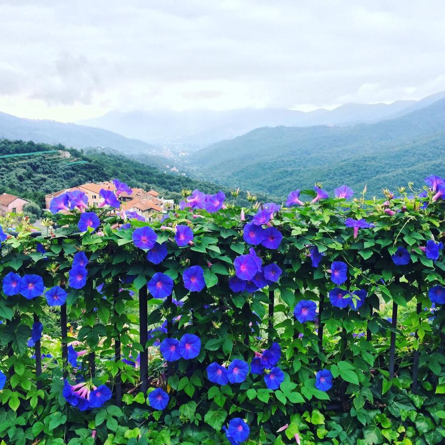 Villa Barca - Luxury Vacation Rentals - Wellness & Pool Casanova Lerrone Екстер'єр фото